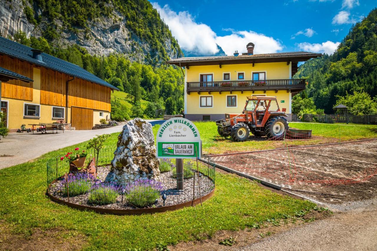 Hinterkellaubauer Bed & Breakfast Kuchl Exterior photo